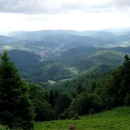 홈스테이 Goprowka